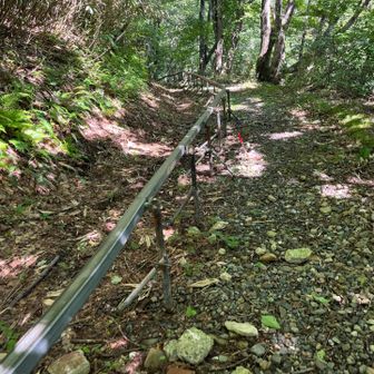 遊歩道に簡易モノレールが…
工事作業の搬入用ですね。