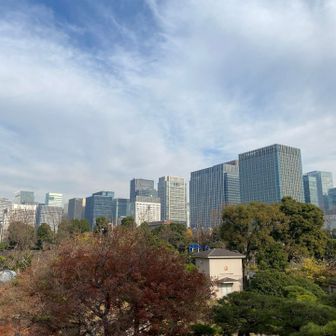 三笠山から丸の内のビル🏢