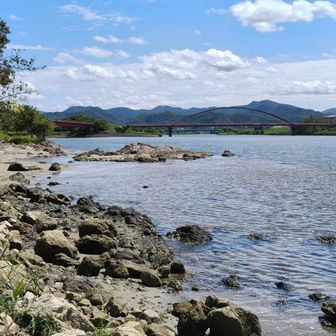 下山してきた
日本海も干満の差があるのかな？
朝より水位が上がってる？