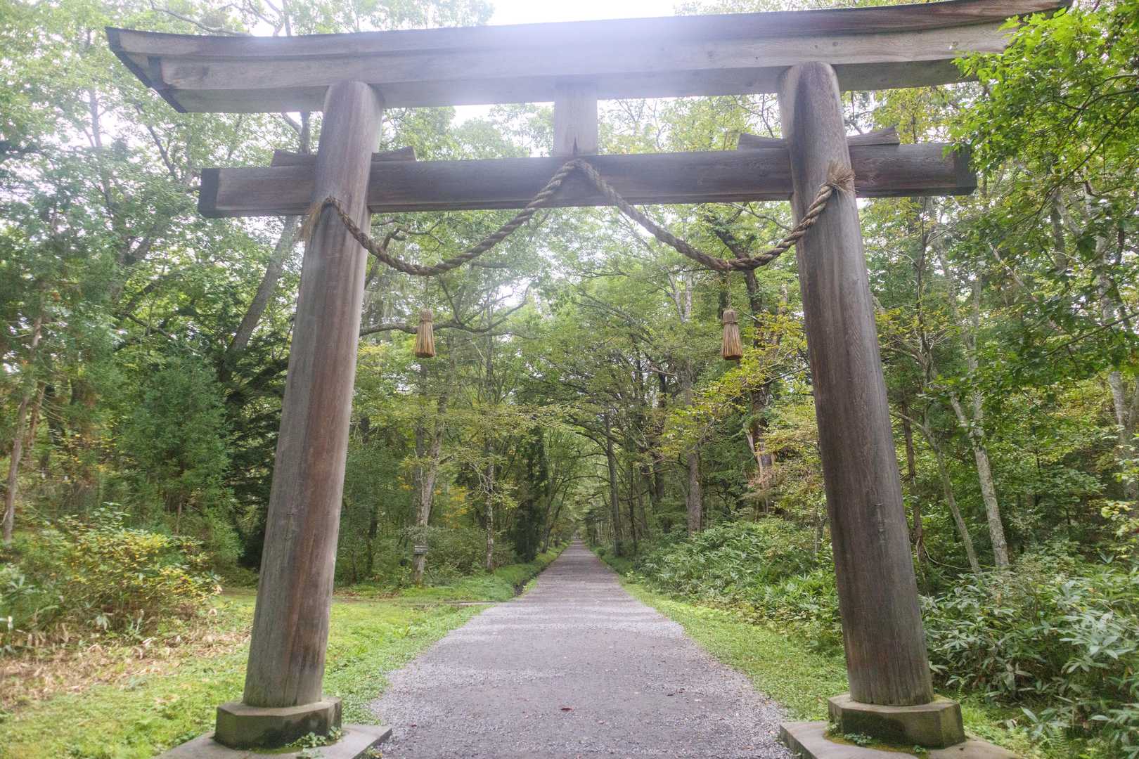 戸隠山周回 | そそり立つナイフリッジ。修験のココロが試されるスリリングな岩峰の写真