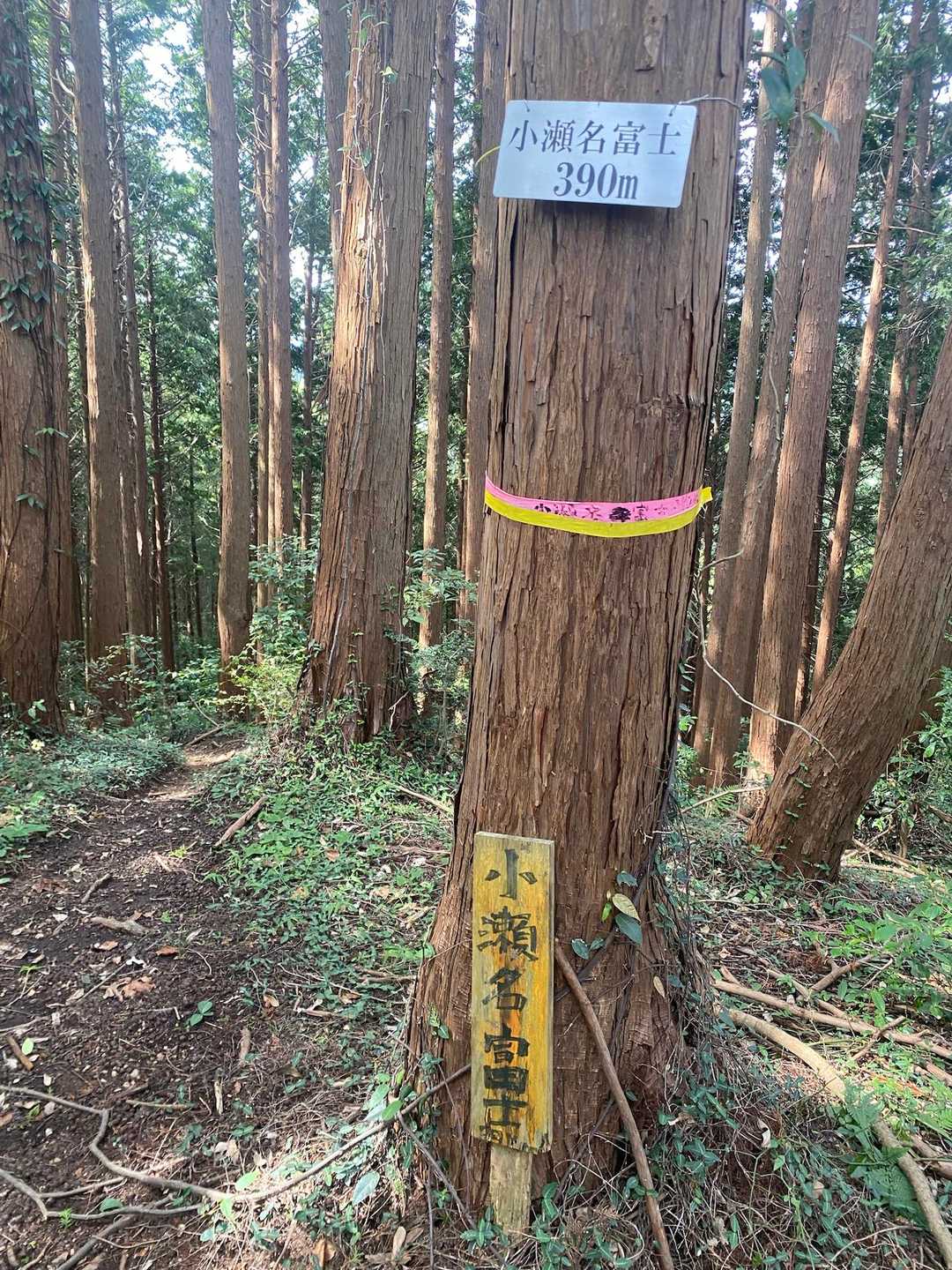日和田山登山口-金刀比羅神社-日和田山-高指山-小瀬名富士 往復コースの写真