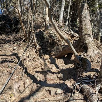 この急登を登れば仏果山山頂