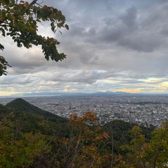 久々だね。