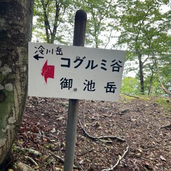 このあと、20m先で出会いがある