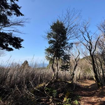 森林浴最高です😆