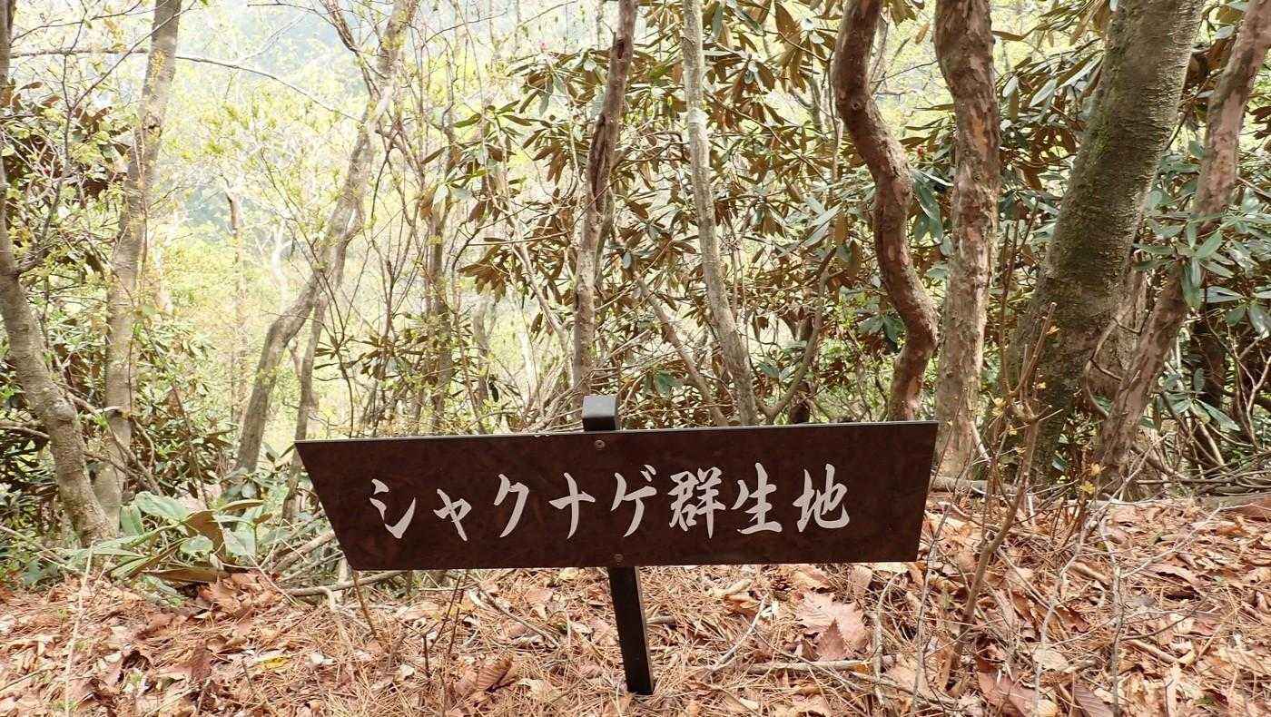 ここは未だ。