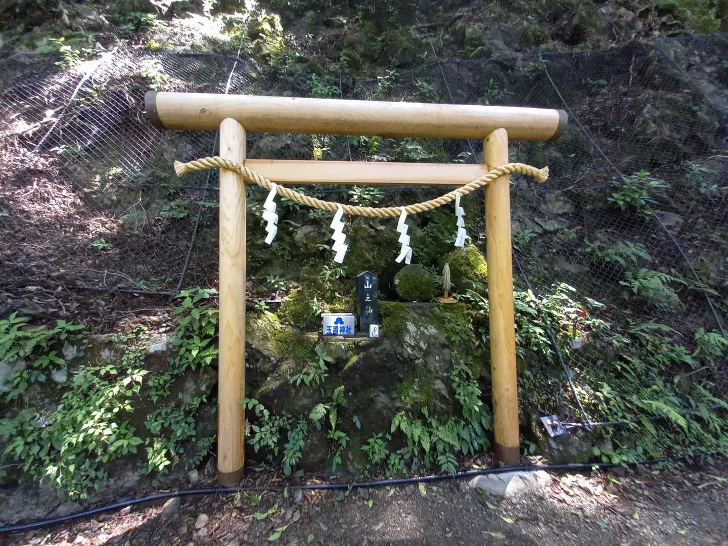 「山の神様」🙏