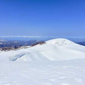 中から前金剛📷