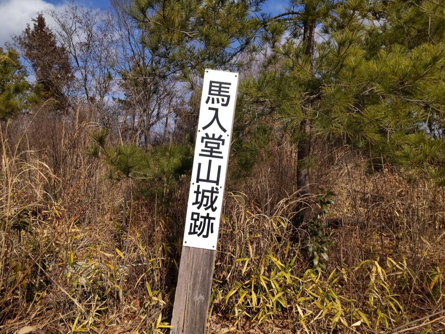 馬入山も城跡