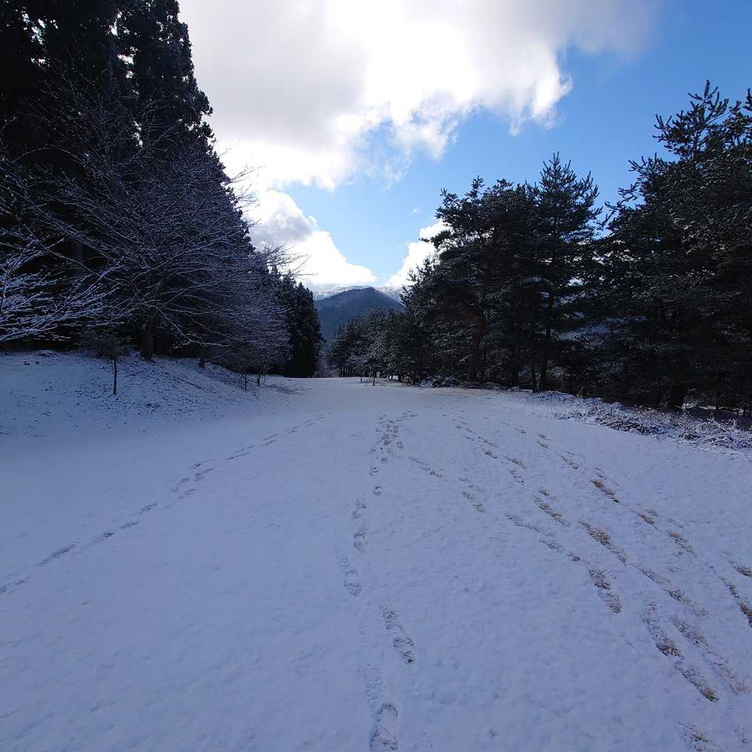ここもスキー場のような広い傾斜
先ほどのおじ様に教えていただきましたが、ここは以前ゴルフ場があったんですって😲
神社の脇に、よく許可されましたね