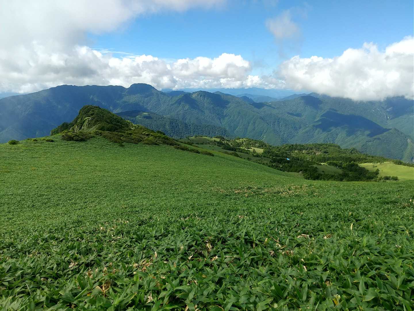 瓶ヶ森登山口発着｜四国最高峰を眺望する瓶ヶ森 周回コースの写真