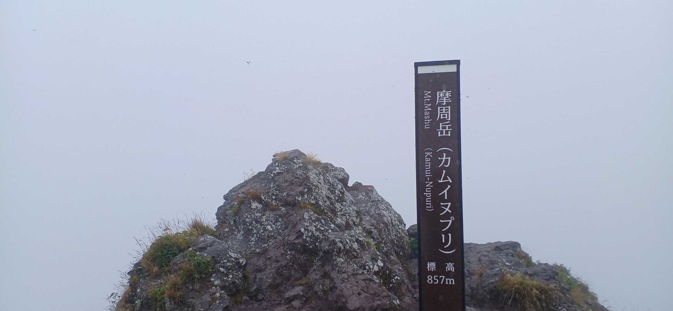 はい真っ白