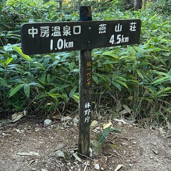 まず第一ベンチ、キツかったですがまだ元気です