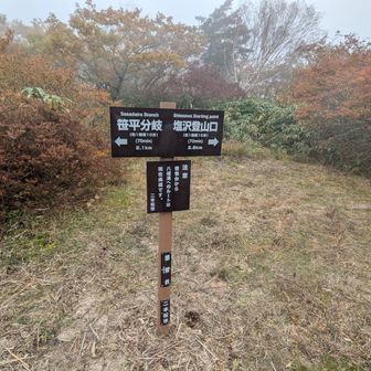 僧悟台（そうごだい）到着
八幡滝へのルートは廃道になっています

この辺りは約20万年前の火山活動によって形成された古い溶岩台地です🌋