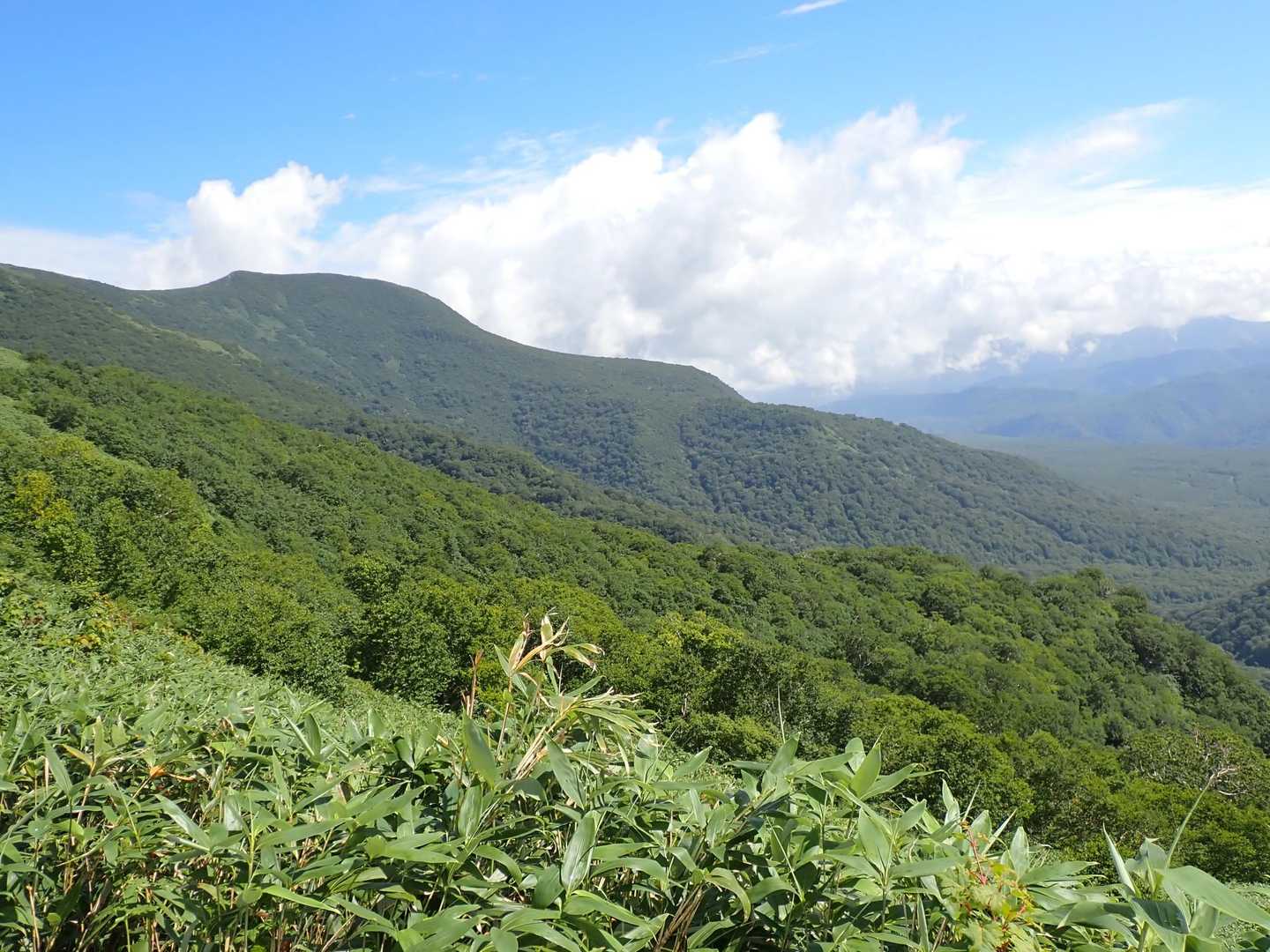 千走登山口-南狩場山-狩場山 往復コースの写真