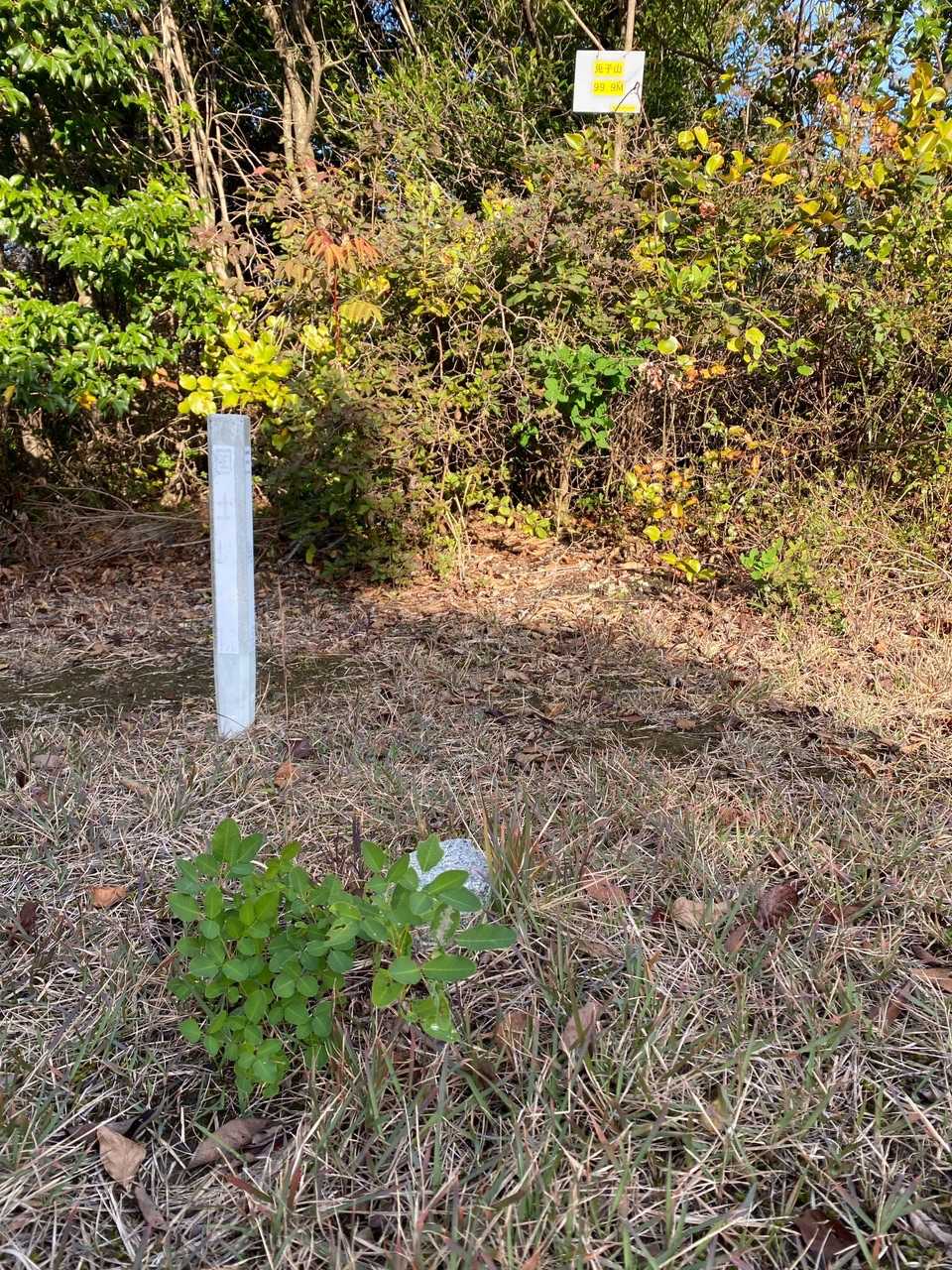 山頂標識と三角点もあります。
眺望はありませんが、少し下りると、