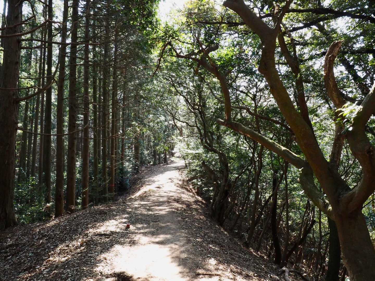 ウキウキの道があちこちにあります
