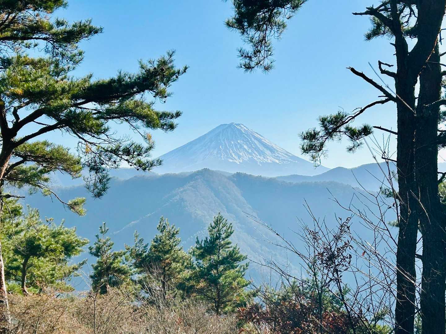 振り返ると富士山🗻✨

今日は絶景だらけだったなぁ😊

おしまい。