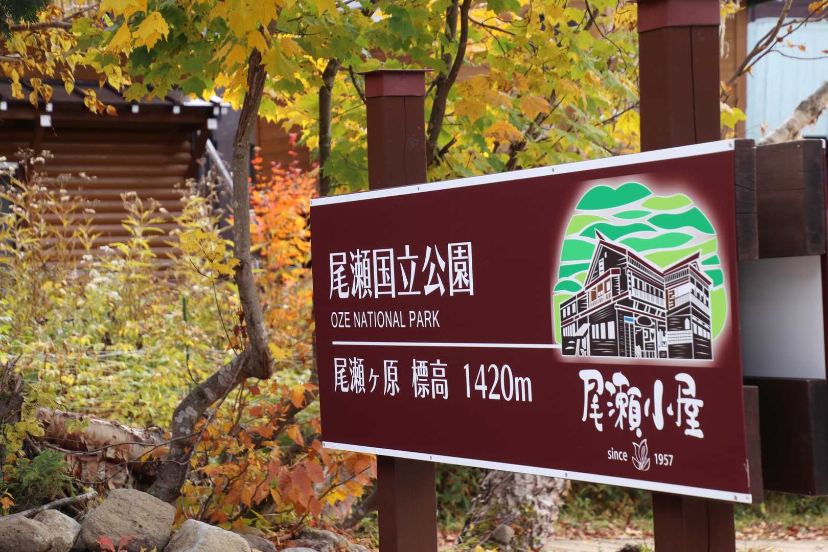 尾瀬小屋に到着
尾瀬小屋にて乾杯でも・・・