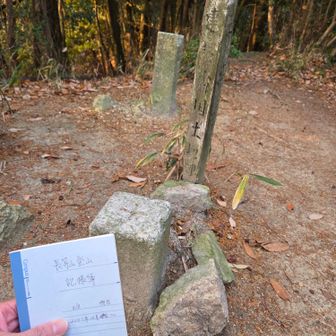 三角点でいつもの一句🖌️