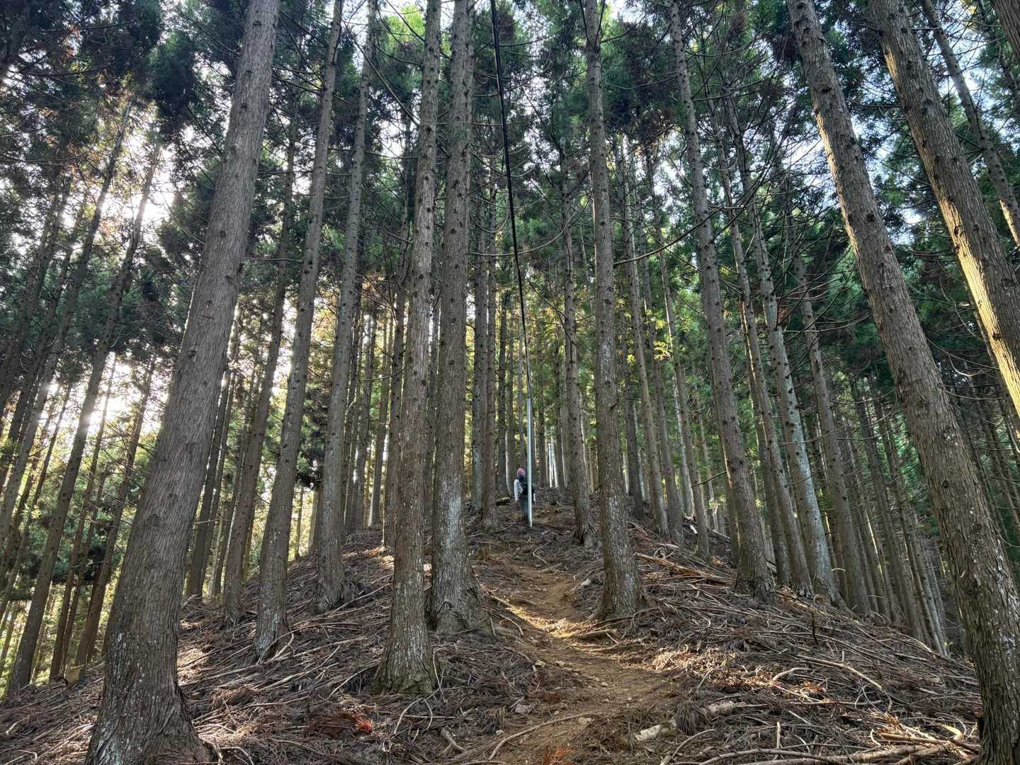 ひたすら登り。