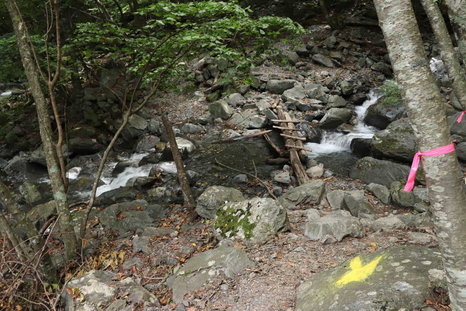 直ぐに丸太橋