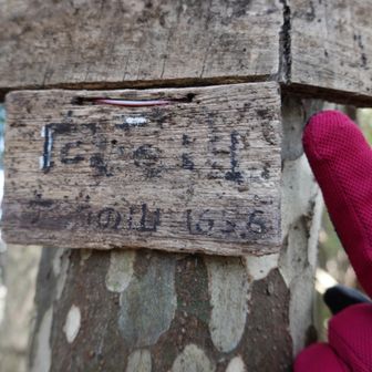 見え難いですが…
８座目、向尾山（むこうやま）
ここがヤマップピークの場所

（呉九嶺のひとつ）