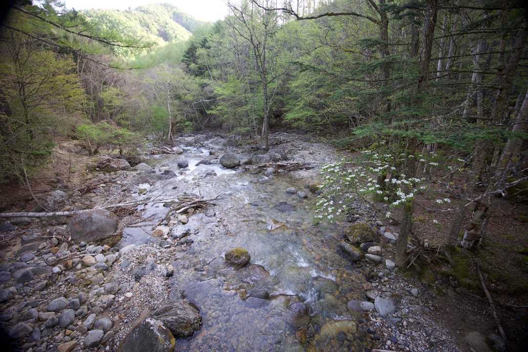 三宝山・甲武信ヶ岳縦走 の写真 5