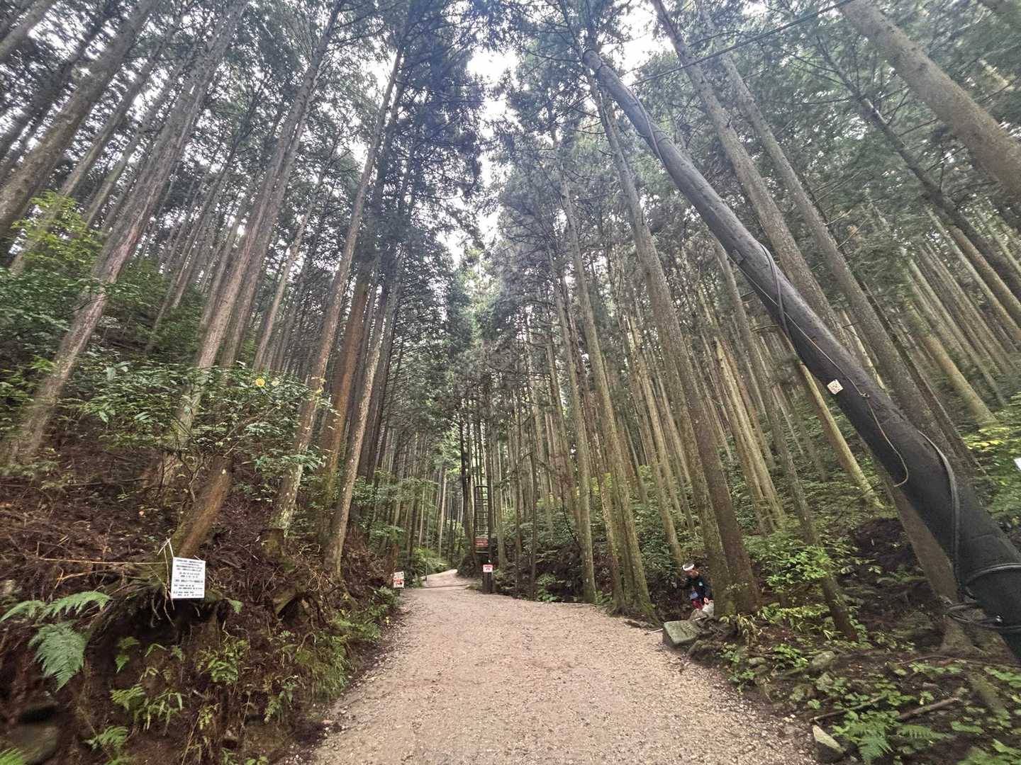 今日は百ヶ辻登山口からスタート▶️しました。