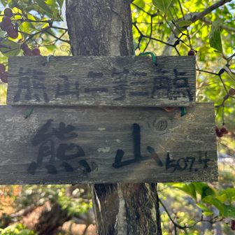 熊山山頂