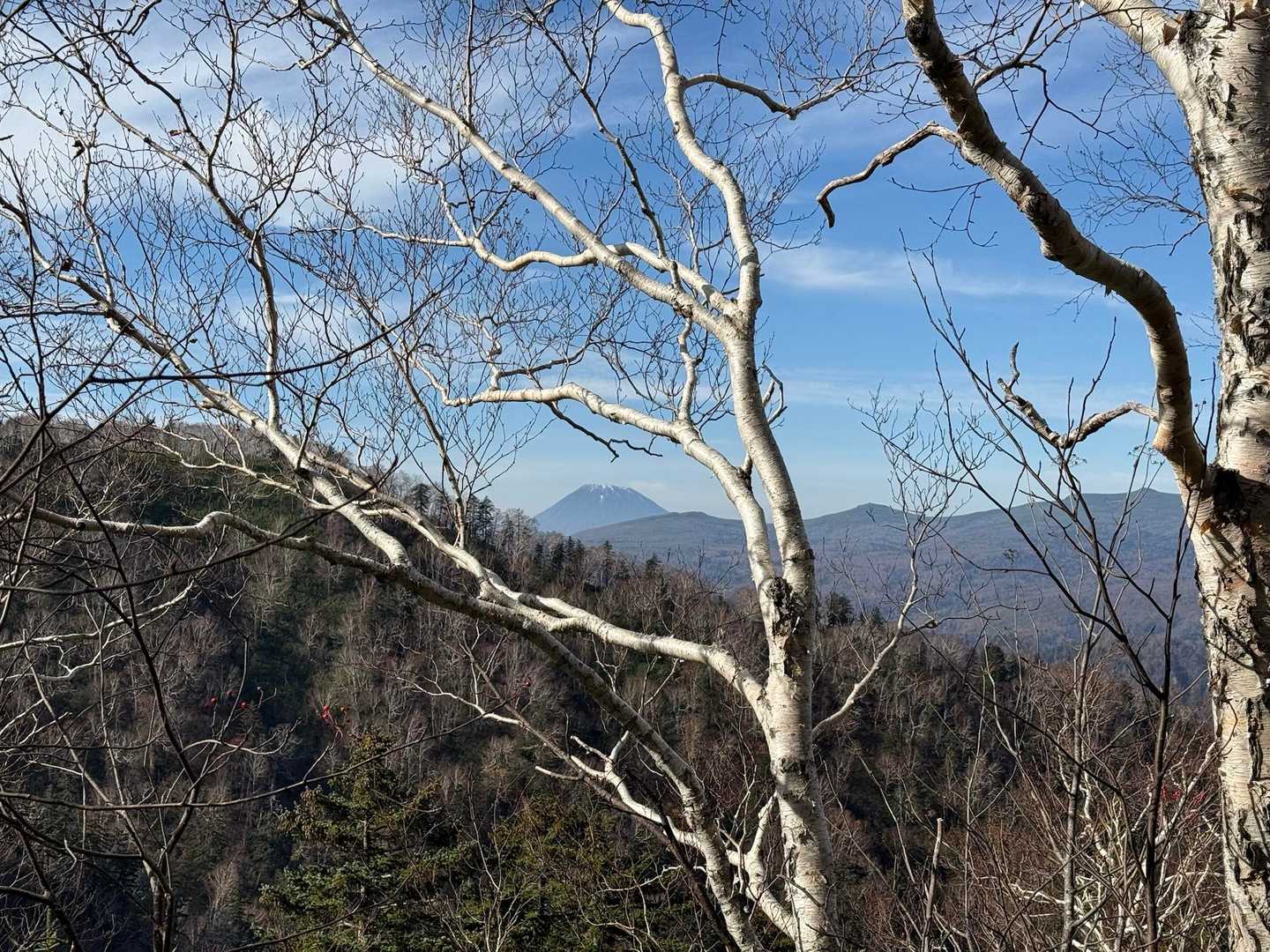 遠くに羊蹄山がみえます