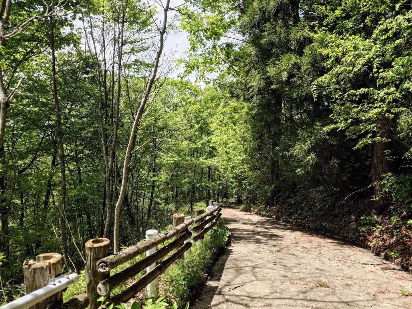 今回こちらのコースでしたが、虫倉山にはメインの不動滝コースがあり、木の根が張った急斜面の一部で鎖場があるとか！一方〜さるすべりコースは、後半が岩場の鎖場が連続!?
選べるコースで登れるのも魅力ですよね✨