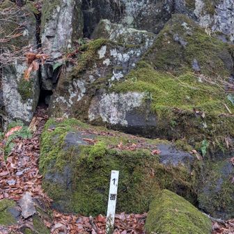 三十三観音、1から33 まであるけどどれが観音様？