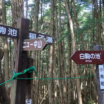 ニュー中山 って
昭和のホテルみたい🤣