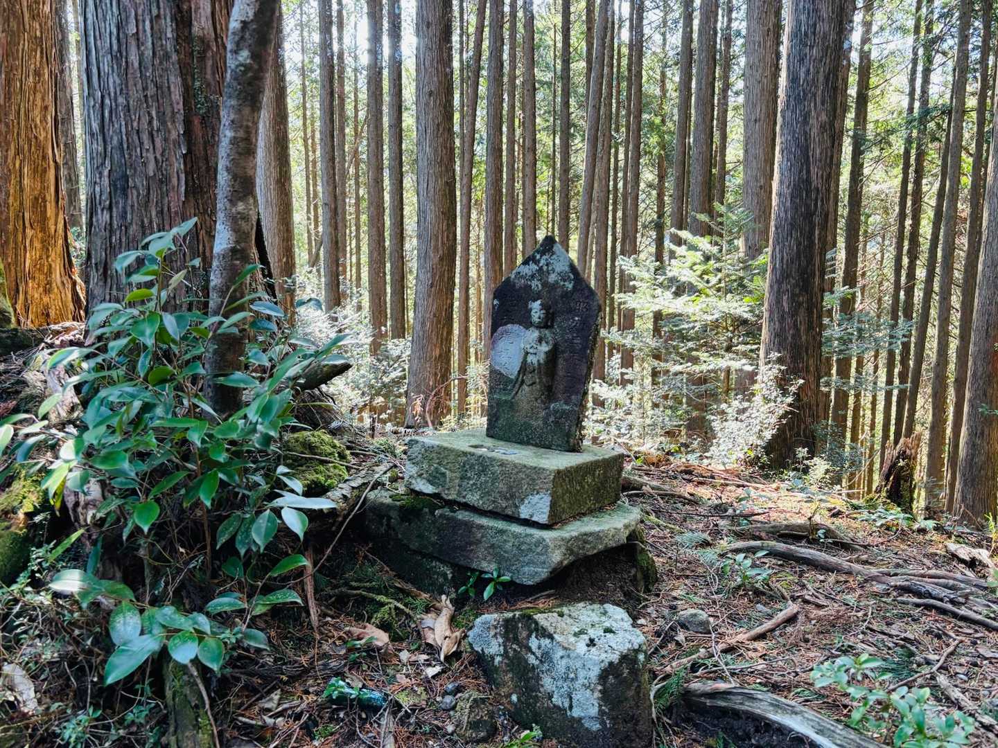 控えめなお地蔵さんもいるよ🙏