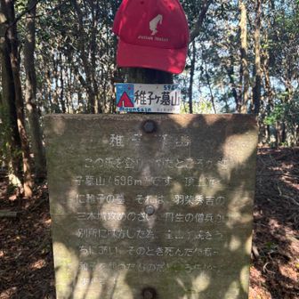 しかし、そこは地図上の山頂ではなく、少し先の地図上の山頂にも改めて由来を記した木柱がありました。