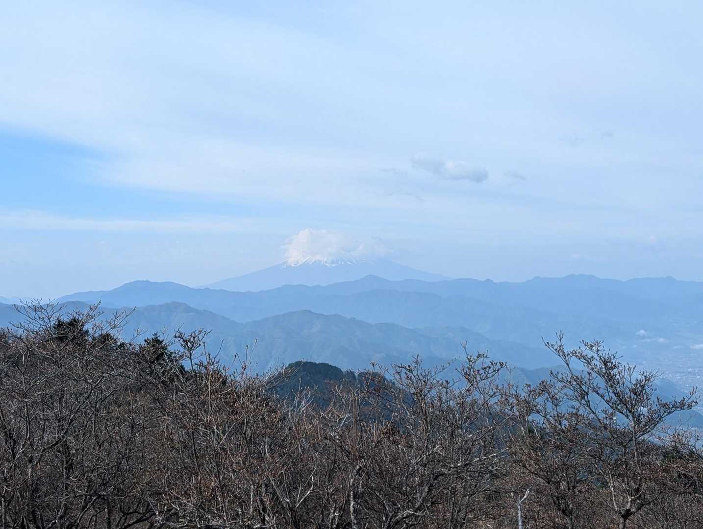 柳沢峠-鈴庫山-ハンゼノ頭-藤谷ノ頭-萩尾-倉掛山 周回コースの写真