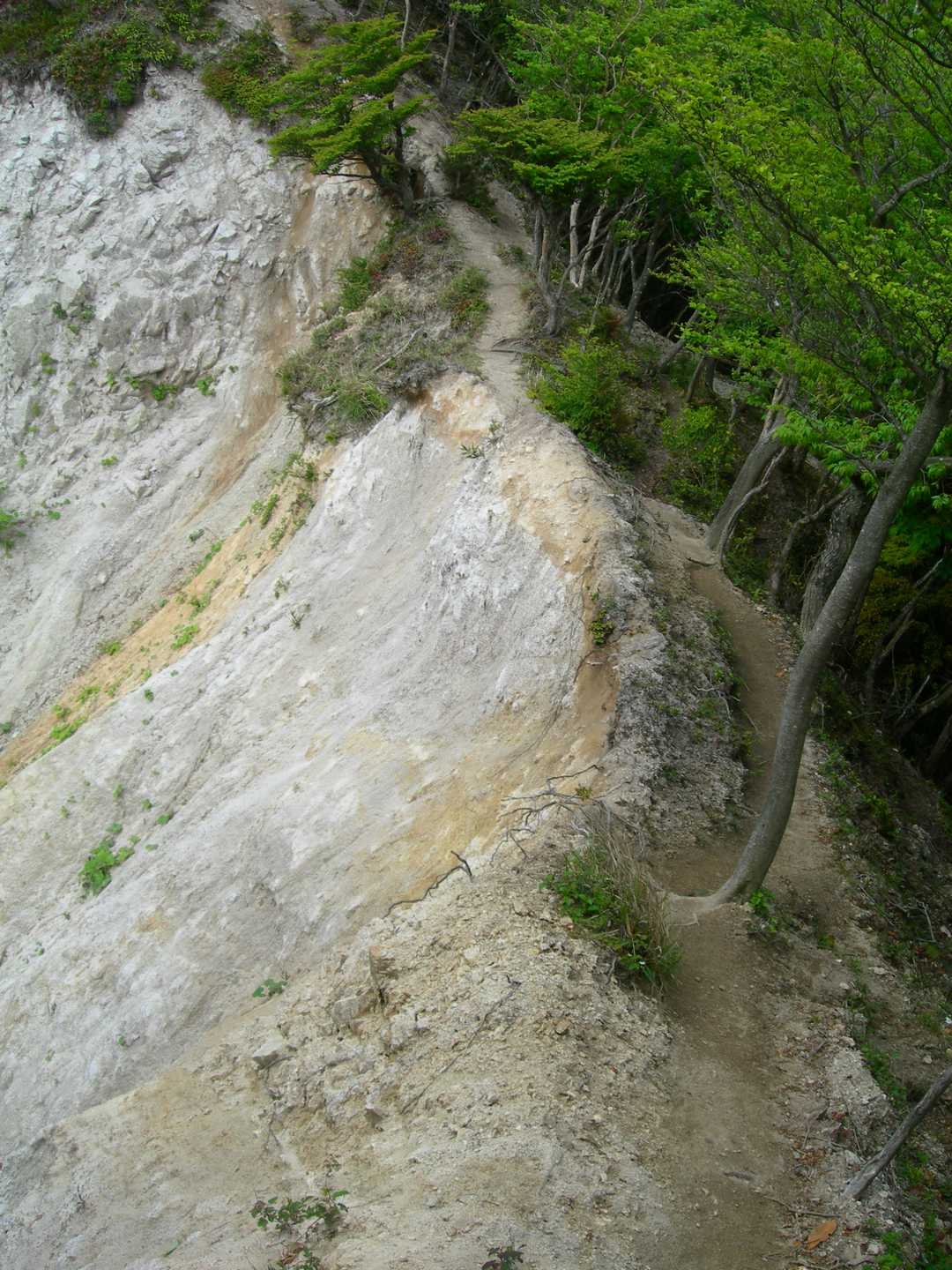石榑峠-三池岳-八風峠-北仙香山-中峠 往復コースの写真
