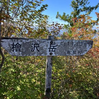 桧沢岳山頂到着💦
こちらは景観無し…。
この日は暑かったので日陰で丁度いいランチタイムが取れました。