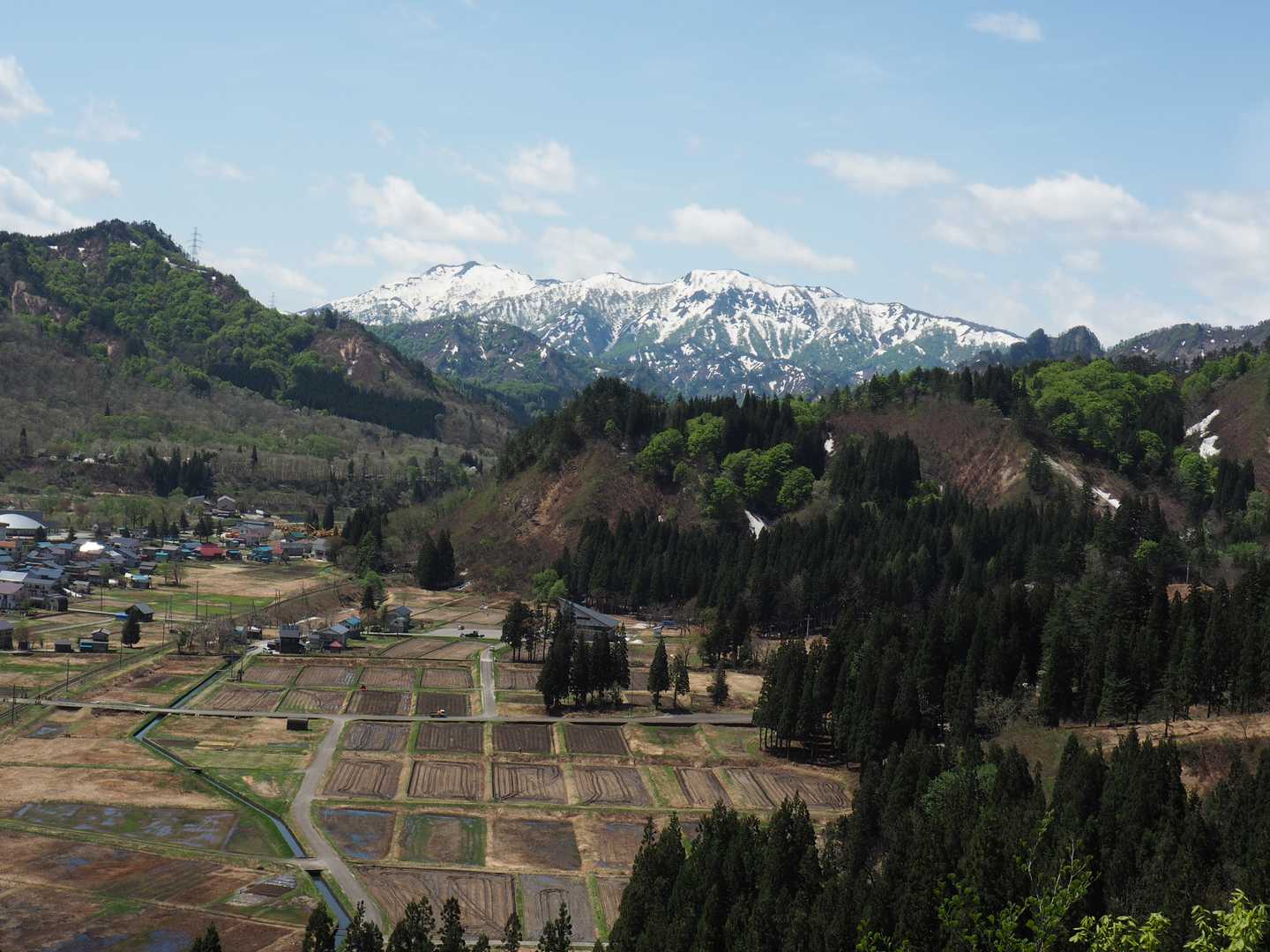 横山らしい