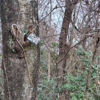 階段が地味に効く