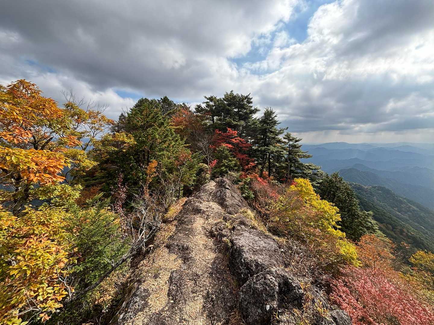 明神山登山口-明神山 往復コースの写真