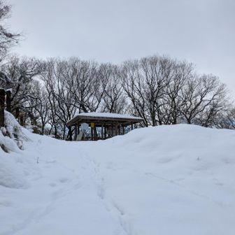 東屋が見えてきたので、もうすぐ山頂のようです(^^)💕