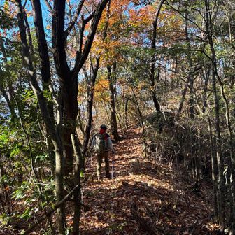 気持ちの良い尾根歩き😌