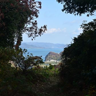 予想外の急登を登って