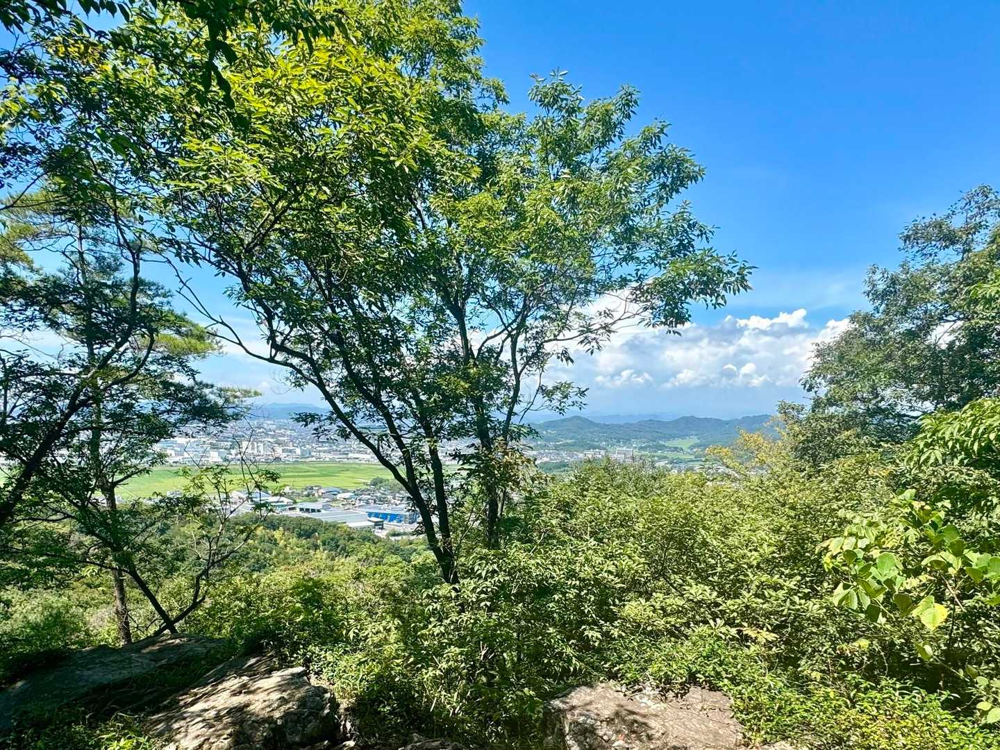 佐野市方面の眺め

夏はやはり正面の木が遮ってしまってます

それでも寄ってしまう花籠岩