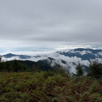 左が御前山、右に三頭山、手前の中央はさっき登った榧ノ木山かな✨
眺望など何も期待していなかったので嬉しい。
カバー画像決定