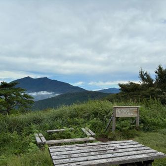 山頂に今日は🐈ちゃん居ませんでした

何処に行ったのかなー