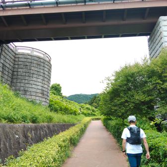 秦野戸川公園の橋が見えてきた!
ここまでの歩き約70分🎶
