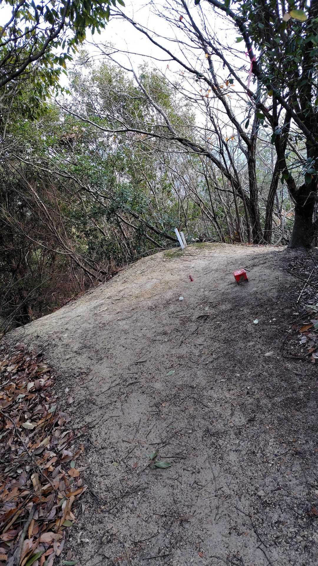 備南アルプスの縦走路をだんご山方向へ